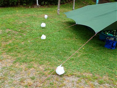 張り綱マーカーとしてレジ袋を留める