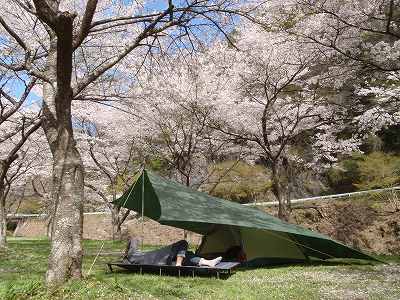 桜の木があるキャンプ場