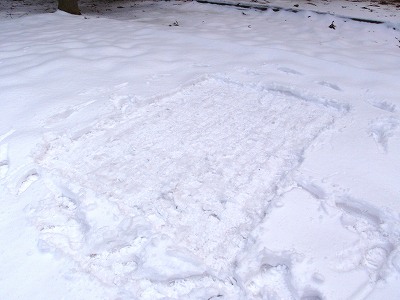 雪を踏み固める