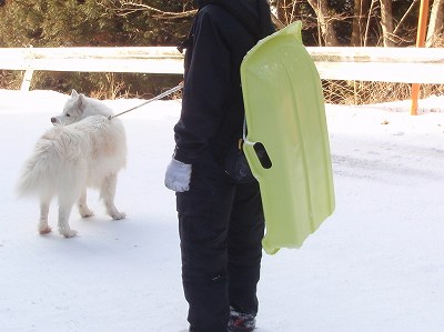 プラスティック製のソリ